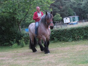 floris